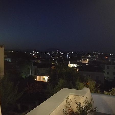 Villa Metaxa Spétses Exteriér fotografie
