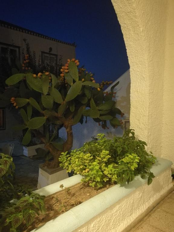 Villa Metaxa Spétses Exteriér fotografie